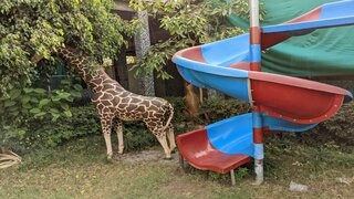 Kids' Zone at Varanasi Fun City